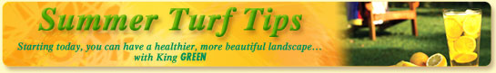 Summer Turf Tips